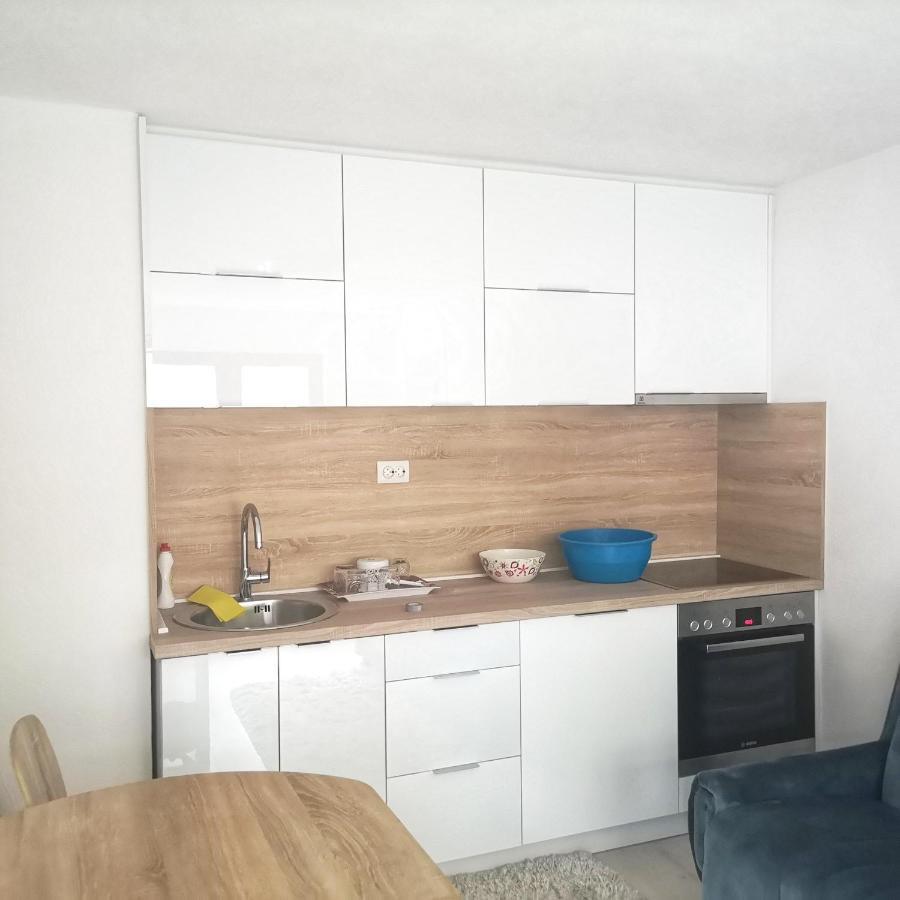 Family Apartment With Garden サラエヴォ エクステリア 写真