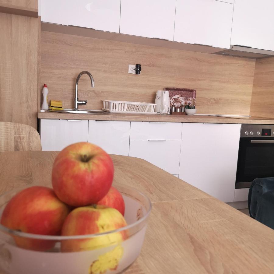 Family Apartment With Garden サラエヴォ エクステリア 写真