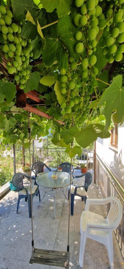 Family Apartment With Garden サラエヴォ エクステリア 写真