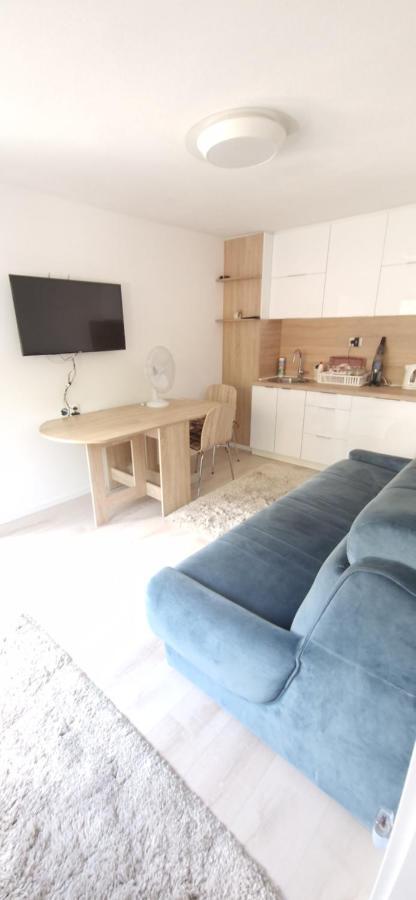 Family Apartment With Garden サラエヴォ エクステリア 写真