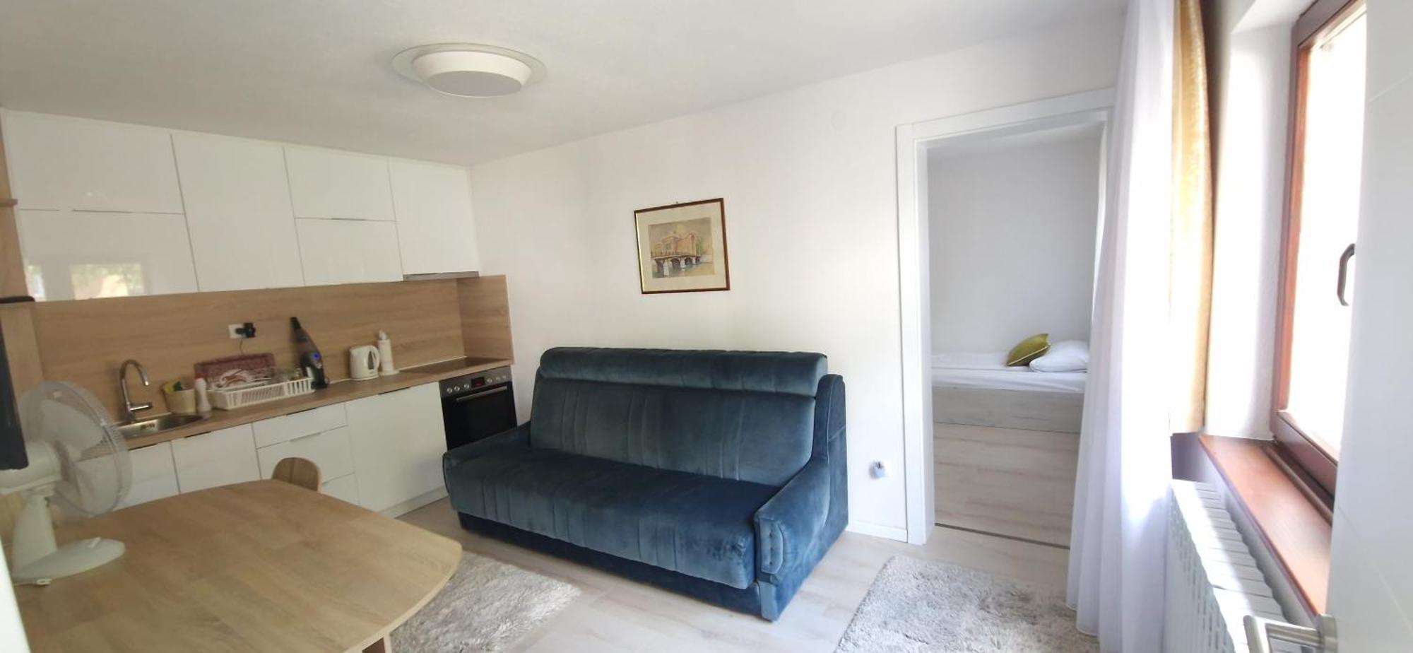 Family Apartment With Garden サラエヴォ 部屋 写真