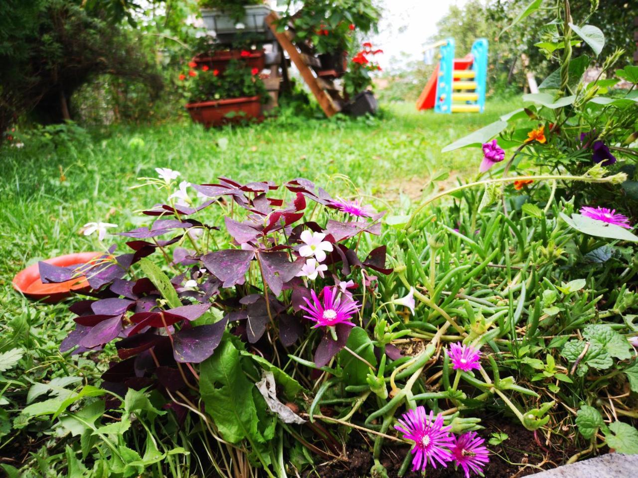 Family Apartment With Garden サラエヴォ エクステリア 写真