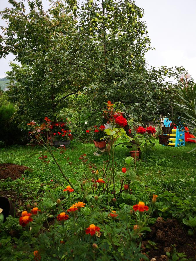 Family Apartment With Garden サラエヴォ エクステリア 写真