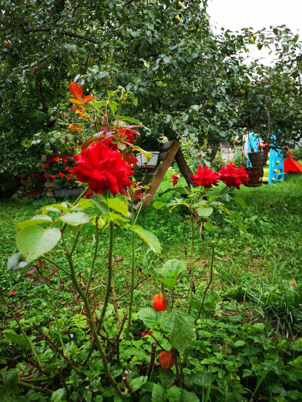 Family Apartment With Garden サラエヴォ エクステリア 写真