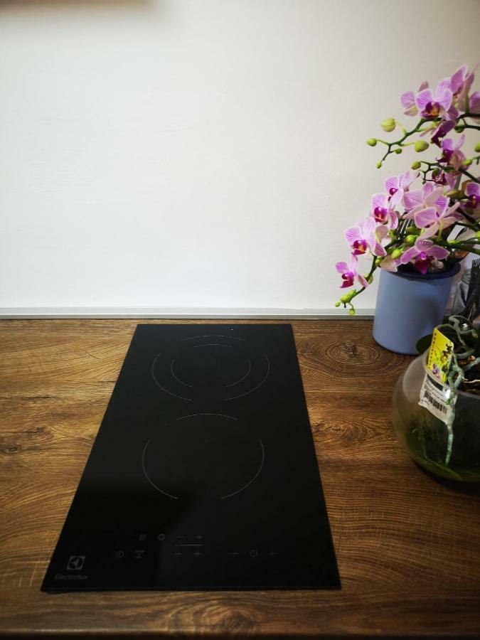 Family Apartment With Garden サラエヴォ エクステリア 写真